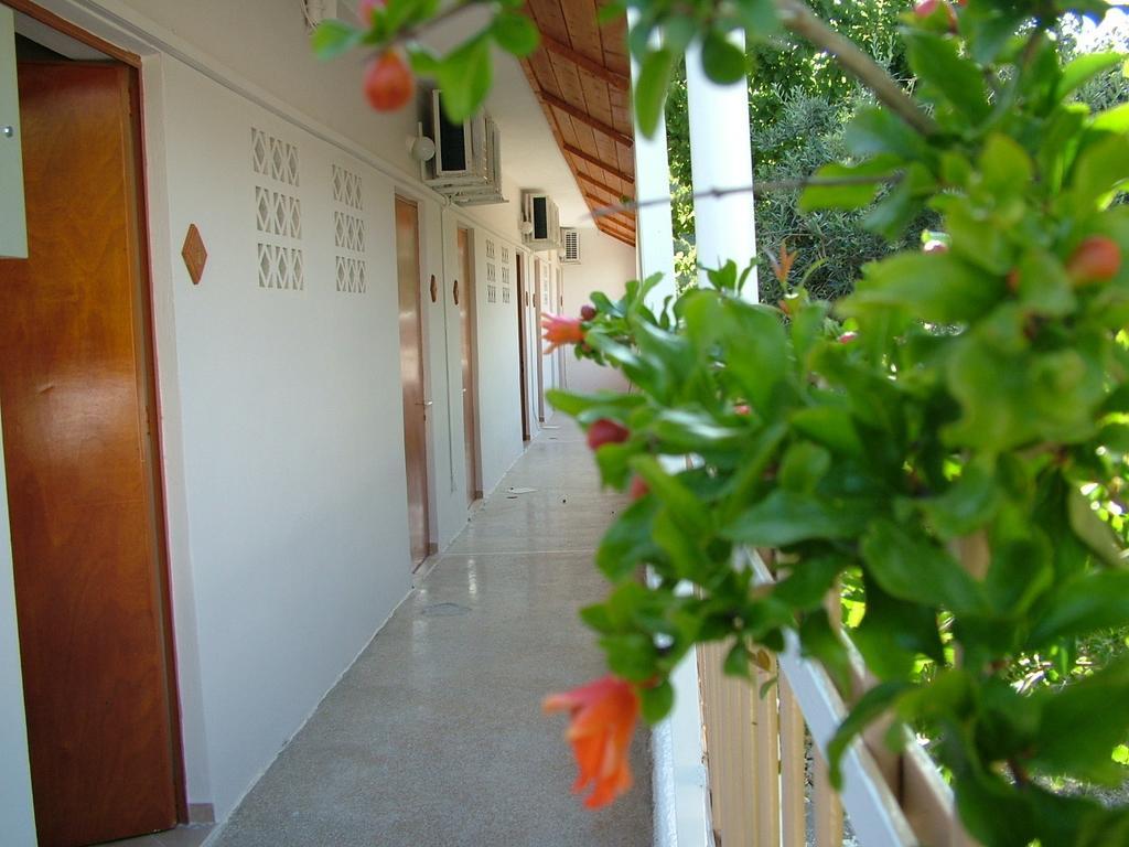 George'S Apartment Agia Marina  객실 사진